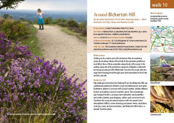 Cheshire: Sandstone Trail: Easy Walks - Sandstone Trail