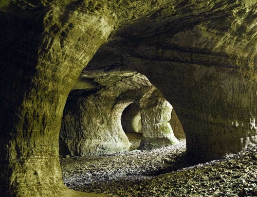 Bat caves at Beeston Castle
